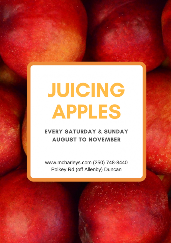 Juicing Apples3 McBarleys Brewery & Winery